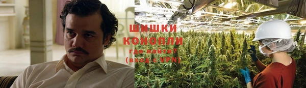 COCAINE Богданович