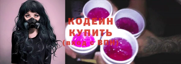 твердый Бородино